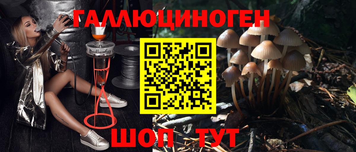 Галлюциногенные грибы мицелий  хочу наркоту  Сертолово  Вход с VPN 